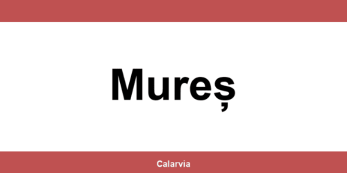 Program și contact CAS Mureș – telefon utile