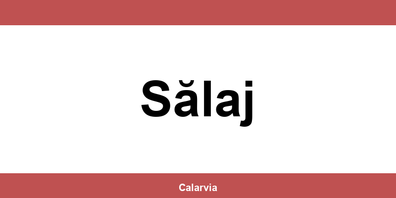 Program și contact CAS Sălaj – telefon utile